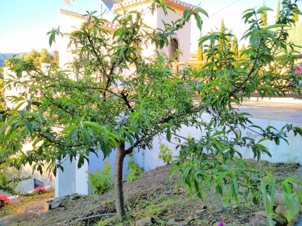 Villa Las Encinas Costa Del Sol Torrox Exterior photo