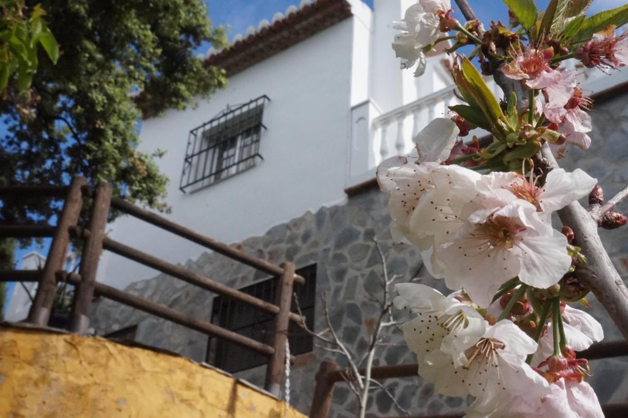 Villa Las Encinas Costa Del Sol Torrox Exterior photo